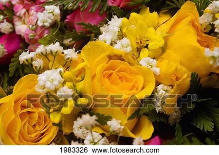 Stock Photograph - Close-Up Of Bright Yellow Roses Of A Flower Arrangement.. Fotosearch