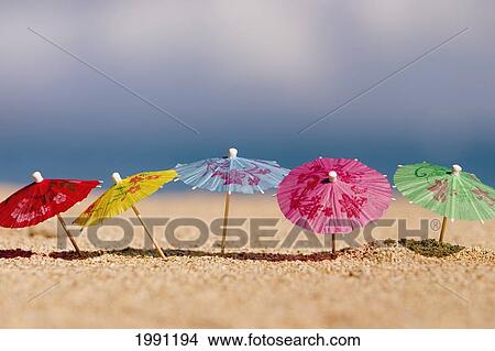 Close-Up Of Cocktail Umbrella's In The Sand View Large Photo Image Picture - Close-Up Of Cocktail Umbrella's In The Sand. Fotosearch