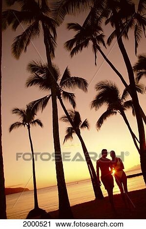 Stock Image - Close-Up Of Couple In Park Heads Together, Palm Trees Silhouetted By Sunset. Fotosearch