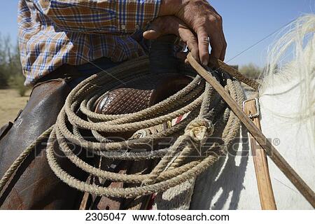 Close-Up Of Cowboy His Rope And His Horse; Arizona Usa View Large Photo Image Stock Photo - Close-Up Of Cowboy His Rope And His Horse; Arizona Usa. Fotosearch