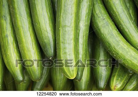 Stock Image - Close up of cucumbers; Cordova, Maryland, United States of America. Fotosearch