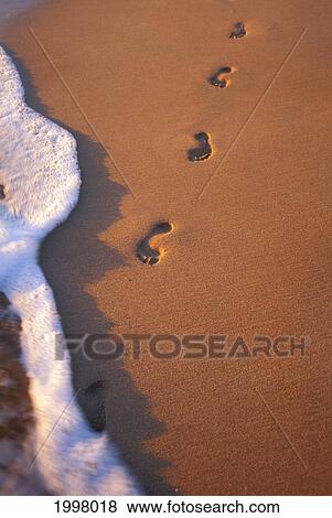 Close-Up Of Footprints In The Sand Along Shoreline, Golden Afternoon With Shadows View Large Photo Image Stock Photo - Close-Up Of Footprints In The Sand Along Shoreline, Golden Afternoon With Shadows. Fotosearch