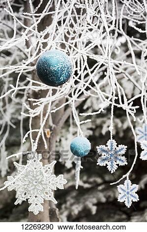 Stock Image - Close up of frosted covered Christmas ornaments hanging on frosted covered tree branches; Calgary, Alberta, Canada. Fotosearch