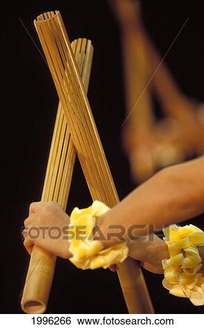 Close-Up Of Hands Holding Pu'ili (Split Bamboo) And Plumeria Kupe'e (Wrist Lei) View Large Photo Image Stock Photograph - Close-Up Of Hands Holding Pu'ili (Split Bamboo) And Plumeria Kupe'e (Wrist Lei). Fotosearch