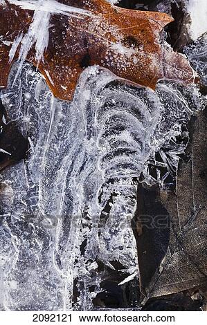 Close-Up Of Ice Formation In Mont-Saint-Bruno National Park; Quebec Canada View Large Photo Image Stock Image - Close-Up Of Ice Formation In Mont-Saint-Bruno National Park; Quebec Canada. Fotosearch