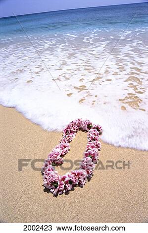 Close-Up Of Pink Lei In Sand On Beach, Foaming Shore Waters, Blue Sky View Large Photo Image Stock Image - Close-Up Of Pink Lei In Sand On Beach, Foaming Shore Waters, Blue Sky. Fotosearch