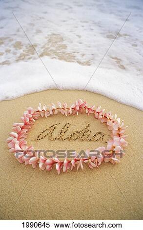 Stock Photography - Close-Up Of Pink Plumeria Lei With Aloha Written In Sand, Foaming Shore Water. Fotosearch