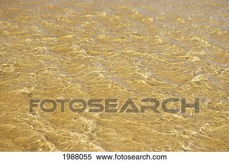 Close-Up Of Rippling Patterns In Shallow Ocean Water View Large Photo Image Stock Photography - Close-Up Of Rippling Patterns In Shallow Ocean Water. Fotosearch