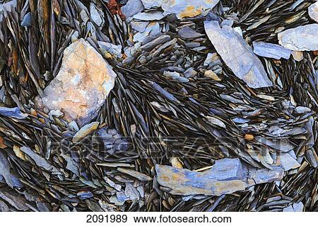 Stock Photo - Close-Up Of Sedimentary Rock In Saguenay-St. Lawrence Marine Park; Ile-Aux-Lievres Quebec Canada. Fotosearch