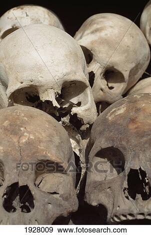 Close Up Of Skulls Of Khmer Rouge Victims View Large Photo Image Stock Photo - Close Up Of Skulls Of Khmer Rouge Victims. Fotosearch