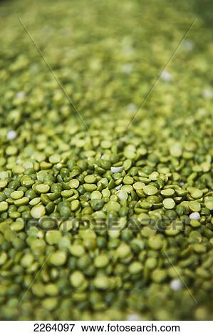 Close-Up Of Split Peas; Portage La Prairie Manitoba Canada View Large Photo Image Stock Photo - Close-Up Of Split Peas; Portage La Prairie Manitoba Canada. Fotosearch