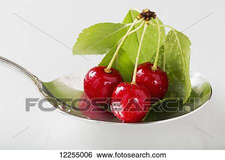 Stock Photograph - Close up of spoon full of cherries with water droplets and leaves on a white background; Calgary, Alberta, Canada. Fotosearch