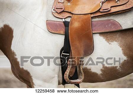 Stock Photo - Close up of stirrup attached to a saddle on a horse, near Hurlock; Maryland, United States of America. Fotosearch