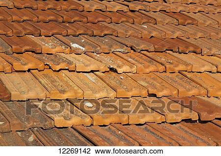 Close up of tile roof; Paphos, Cyprus View Large Photo Image Stock Image - Close up of tile roof; Paphos, Cyprus. Fotosearch