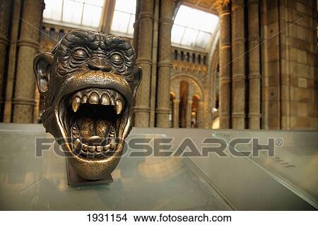 Picture - Close-up on a bronze chimpanzee statue in the interior of the Natural History Museum, Kensington, London, England, UK., Kensington, London, England, UK.. Fotosearch
