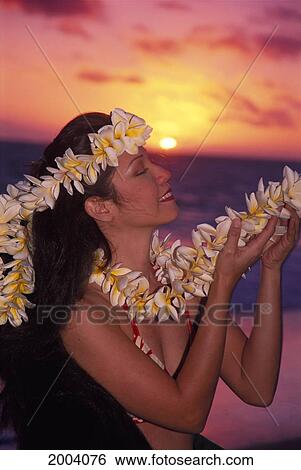 Close-Up Side View Of Young Woman Wearing Plumeria Haku, Holds Lei, Tropical Sunrise At Beach View Large Photo Image Stock Photograph - Close-Up Side View Of Young Woman Wearing Plumeria Haku, Holds Lei, Tropical Sunrise At Beach. Fotosearch