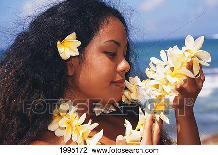Close-Up Young Hawaiian Woman Smelling White Plumeria Lei, Beach In Background. View Large Photo Image Stock Image - Close-Up Young Hawaiian Woman Smelling White Plumeria Lei, Beach In Background.. Fotosearch