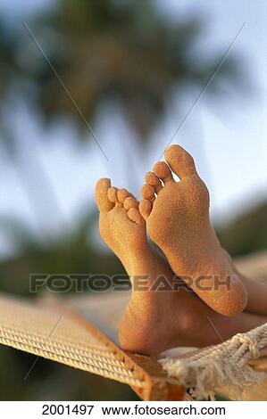 Close-Up Young Woman's Feet Crossed Atop Hammock, Sand On Bottom Feet Blurry Background View Large Photo Image Stock Photo - Close-Up Young Woman's Feet Crossed Atop Hammock, Sand On Bottom Feet Blurry Background. Fotosearch