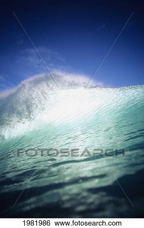 Stock Photograph - Closeup angle of green wave with backlit crest, bright blue sky. Fotosearch