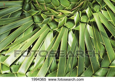 Stock Photography - Closeup Detail Of Woven Palm Hat. Fotosearch