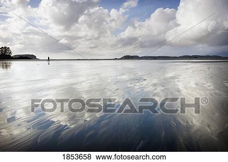 Cloud Reflections; Tofino, Vancouver Island, British Columbia, Canada View Large Photo Image Stock Photo - Cloud Reflections; Tofino, Vancouver Island, British Columbia, Canada. Fotosearch