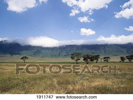 Clouds Over Ngorongoro Crater, Tanzania View Large Photo Image Stock Photo - Clouds Over Ngorongoro Crater, Tanzania. Fotosearch