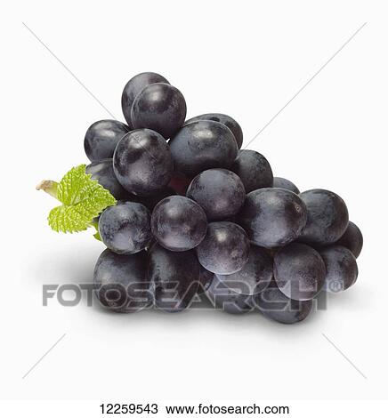 Stock Image - Cluster of grapes on a white background. Fotosearch