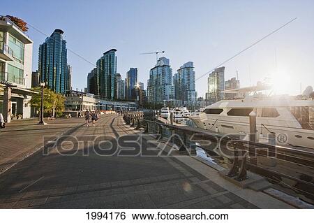 Coal Harbor Quay, Vancouver, British Columbia, Canada View Large Photo Image Stock Photograph - Coal Harbor Quay, Vancouver, British Columbia, Canada. Fotosearch