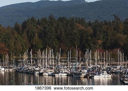 Coal Harbour, Vancouver, British Columbia, Canada View Large Photo Image Stock Photograph - Coal Harbour, Vancouver, British Columbia, Canada. Fotosearch