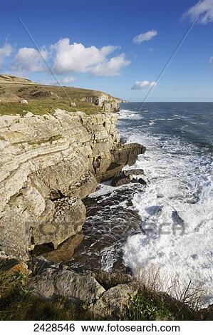 Coastal cliffs on the Isle of Purbeck; Dorset, England View Large Photo Image Stock Photograph - Coastal cliffs on the Isle of Purbeck; Dorset, England. Fotosearch