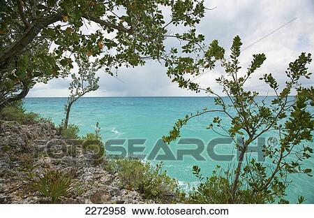 Stock Photo - Coastal ocean view; long island bahamas. Fotosearch