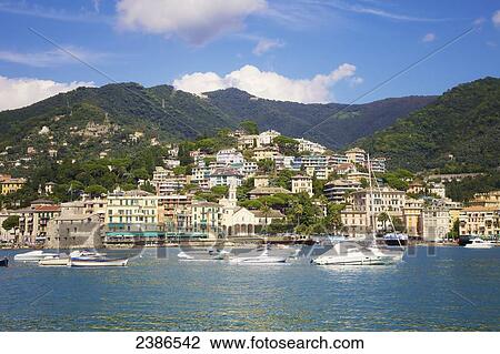 Coastline and harbour of the Italian Riviera; Genoa, Liguria, Italy View Large Photo Image Stock Image - Coastline and harbour of the Italian Riviera; Genoa, Liguria, Italy. Fotosearch