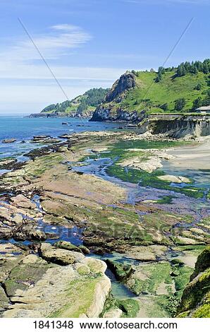 Stock Photo - Coastline At Cape Perpetua; Newport, Oregon, Usa. Fotosearch