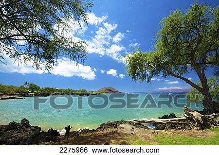 Coastline of an hawaiian island; Hawaii, United States of America View Large Photo Image Stock Photograph - Coastline of an hawaiian island; Hawaii, United States of America. Fotosearch