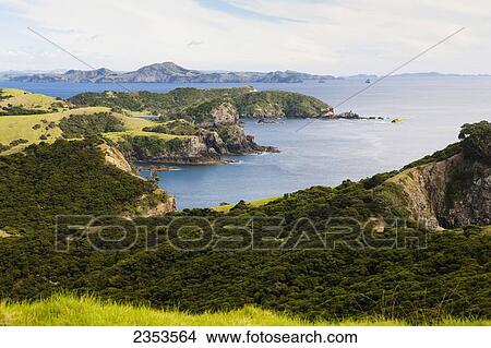Picture - Coastline Of Urupukapuka Island, One Of The Islands In The Bay Of Islands; Urupukapuka Island, New Zealand. Fotosearch