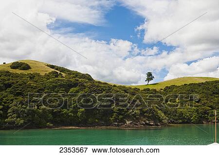 Coastline Of Urupukapuka Island, One Of The Islands In The Bay Of Islands; Urupukapuka Island, New Zealand View Large Photo Image Stock Photo - Coastline Of Urupukapuka Island, One Of The Islands In The Bay Of Islands; Urupukapuka Island, New Zealand. Fotosearch