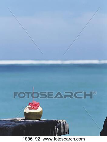 Stock Image - Cocktail In A Coconut By The Ocean. Fotosearch