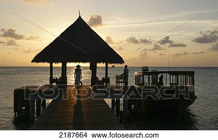 Coco Palm Dhuni Kolhu Island; Maldives View Large Photo Image Picture - Coco Palm Dhuni Kolhu Island; Maldives. Fotosearch