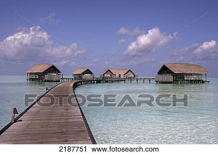 Cocoa Island; Maldives View Large Photo Image Stock Image - Cocoa Island; Maldives. Fotosearch