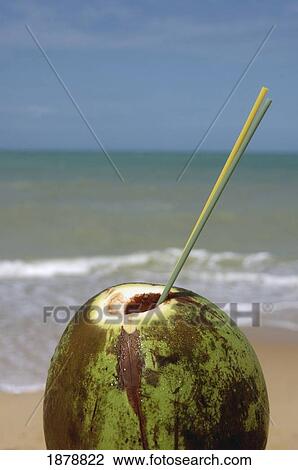 Coconut Drink On Beach, Close Up View Large Photo Image Stock Image - Coconut Drink On Beach, Close Up. Fotosearch