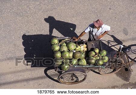 Stock Photography - Coconut Vendor In Street. Fotosearch