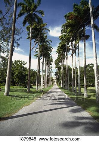 Codrington Theological College View Large Photo Image Stock Photo - Codrington Theological College. Fotosearch