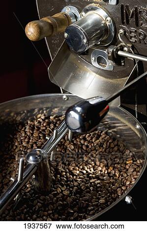 Coffee Beans; Cusco Peru View Large Photo Image Stock Photo - Coffee Beans; Cusco Peru. Fotosearch