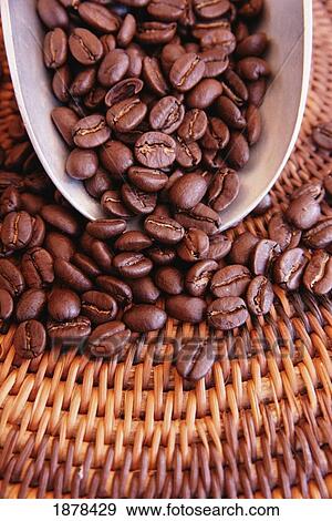 Coffee Beans On Basket, Close-Up View Large Photo Image Stock Photo - Coffee Beans On Basket, Close-Up. Fotosearch