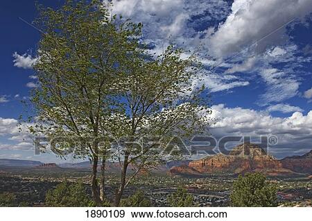 Stock Photo - Coffepot Monolith In Red Rock Country.. Fotosearch