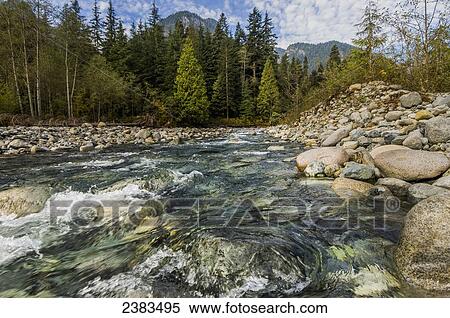Cold mountain stream in Lynn Canyon; North Vancouver, British Columbia, Canada View Large Photo Image Stock Photography - Cold mountain stream in Lynn Canyon; North Vancouver, British Columbia, Canada. Fotosearch
