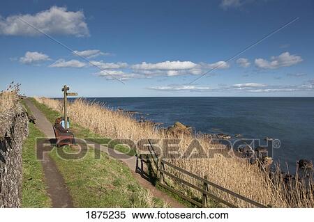 Coldingham, Scottish Borders, Scotland; A Woman Sitting On A Bench And Looking Out At The Ocean View Large Photo Image Stock Photography - Coldingham, Scottish Borders, Scotland; A Woman Sitting On A Bench And Looking Out At The Ocean. Fotosearch