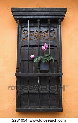 Picture - Colombia, Bogota, Window And Potted Flower; La Candelaria. Fotosearch