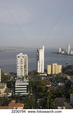 Picture - Colombia, Cartagena, High Rise Apartment Blocks; Bocagrande. Fotosearch