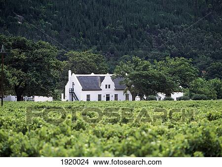 Picture - Colonial House In Field. Fotosearch